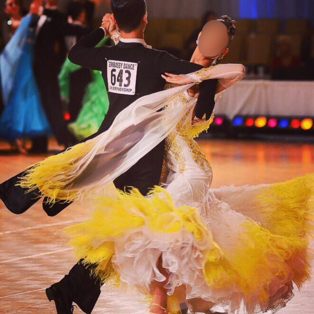 COPY - Ballroom dance dress